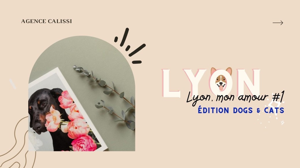 Lyon mon amour #1, "Dogs and Cats" 