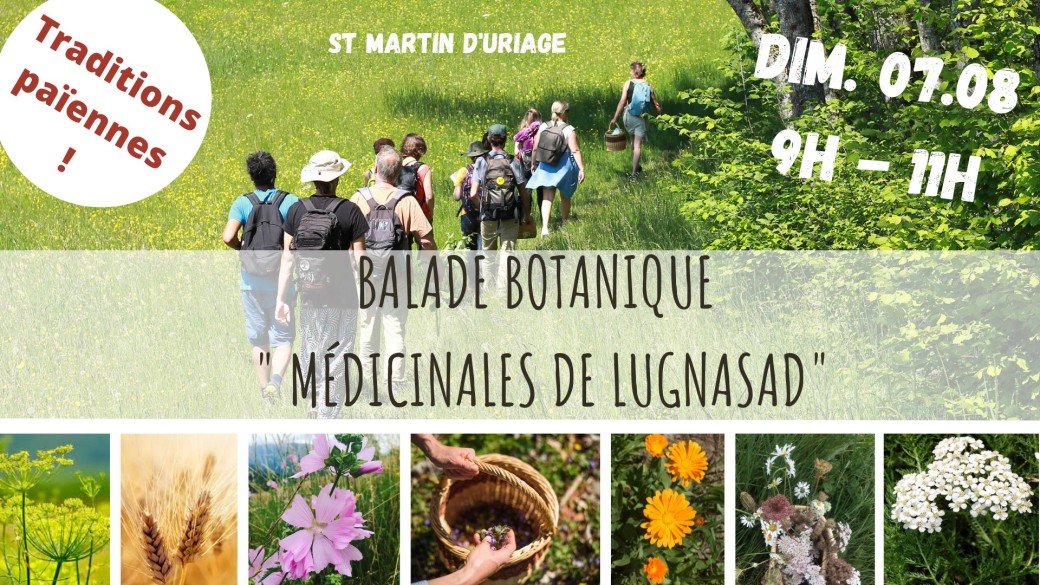 MÉDICINALES DE LUGNASAD MÉDICINALES DE LUGNASAD