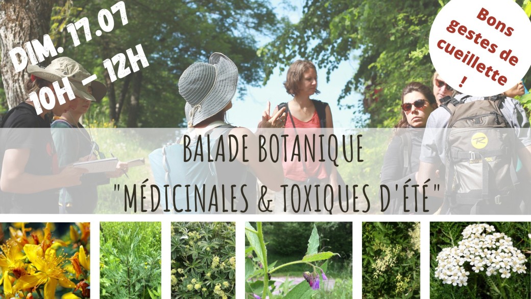 MÉDICINALES & TOXIQUES D'ÉTÉ