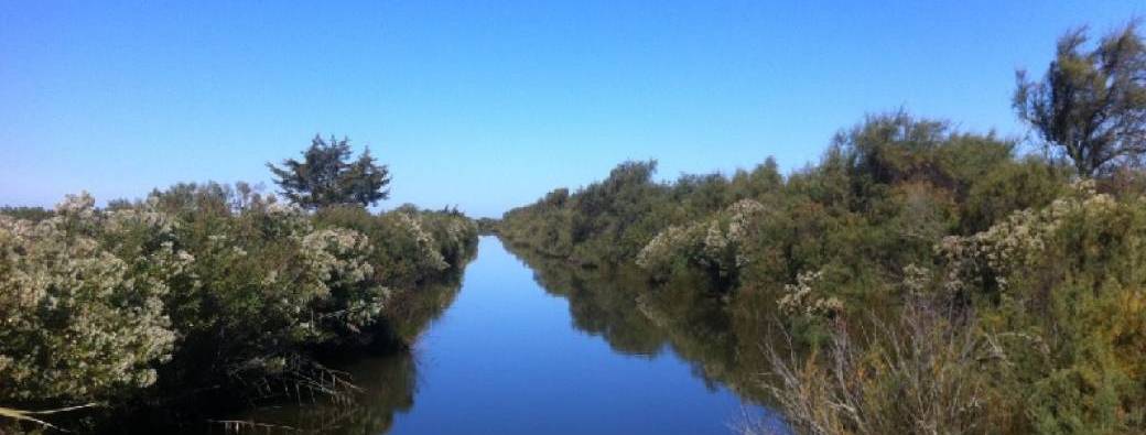 M' en balade - découverte de Malprat en kayak