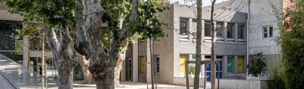 [mac]: deux expos en compagnie de Stéphanie Airaud, directrice du musée
