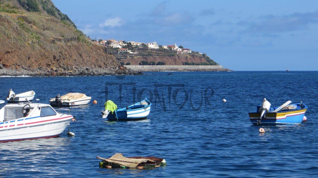 Madeira Road-trip 8j/7n