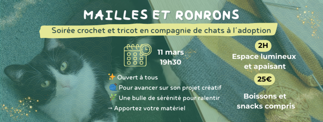 Soirée crochet et tricot en compagnie de chats