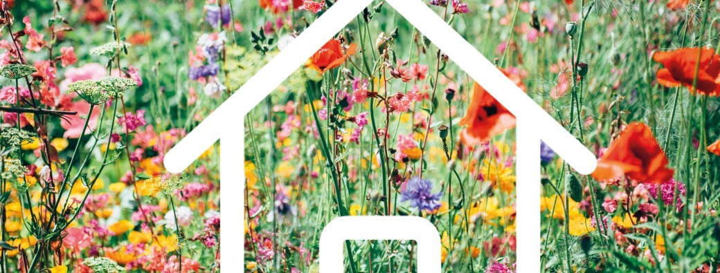 Concours maisons fleuries 2024