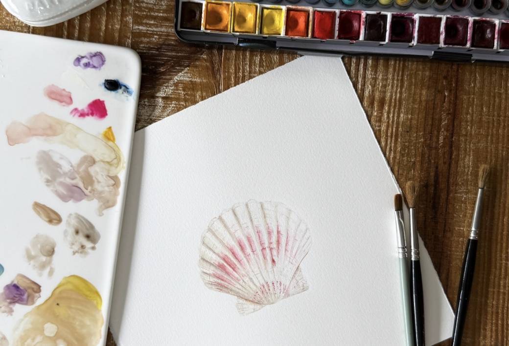 MAKE x A.S.TARDY | Aquarelle Botanique | COQUILLAGES Tous niveaux 