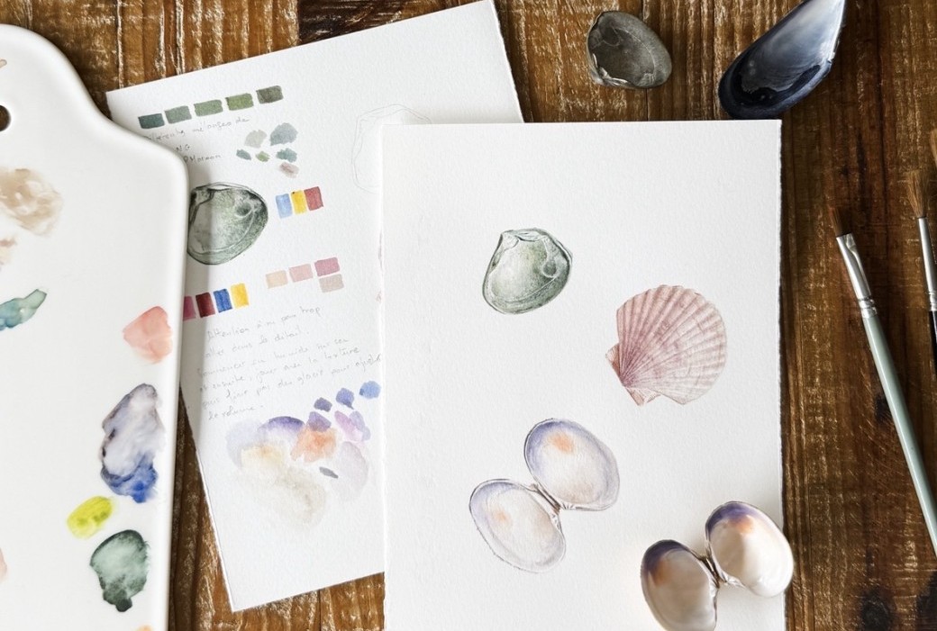 MAKE x A.S.TARDY | Aquarelle Botanique | COQUILLAGES Niveau 2