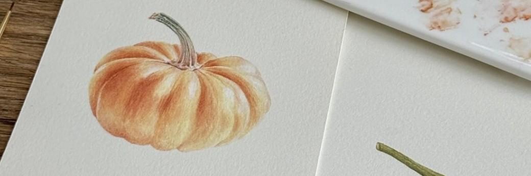 MAKE x A.S.TARDY | Aquarelle Botanique | LA CITROUILLE 