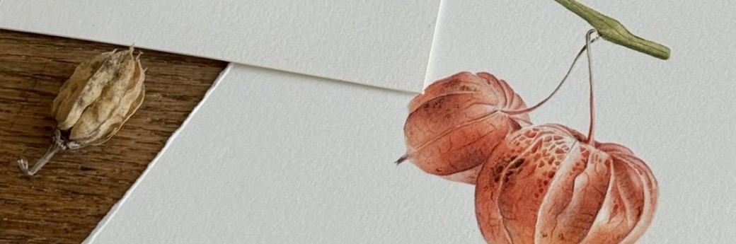 MAKE x A.S.TARDY | Aquarelle Botanique | LANTERNE CHINOISE MAKE x A.S.TARDY | Aquarelle Botanique | LANTERNE CHINOISE