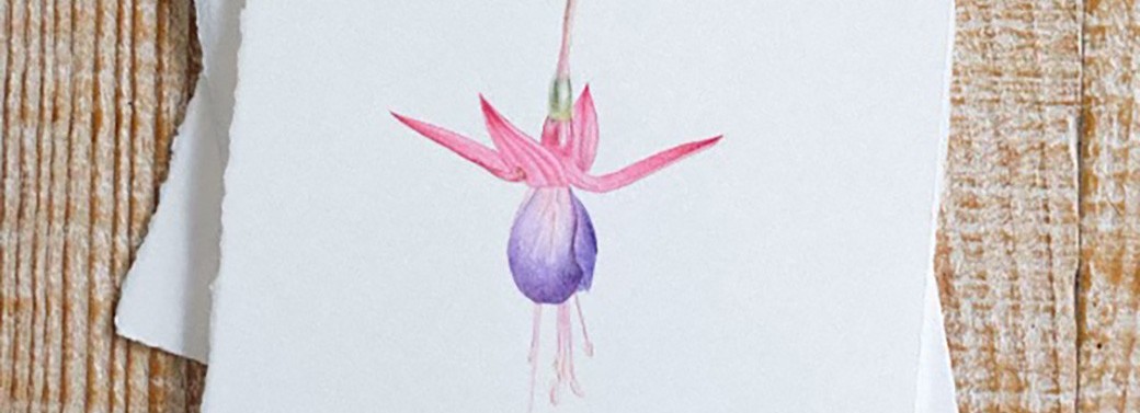 MAKE x A.S.TARDY | Aquarelle Botanique | LE FUCHSIA