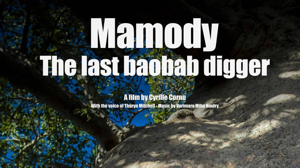 Mamody, le dernier creuseur de baobabs