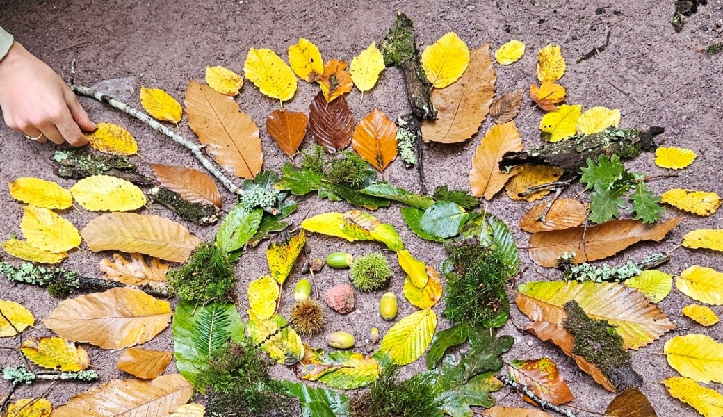 Mandalas de Nature