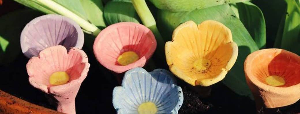 Mangeoires à oiseaux 