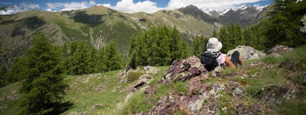 Marche afghane Forêts alpines de la Vésubie (niv 2 - Fab)*