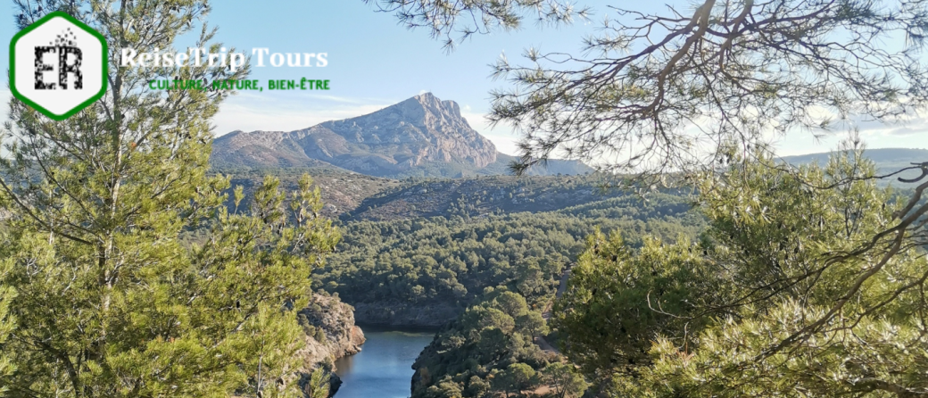 Yoga & bain de forêt à Aix