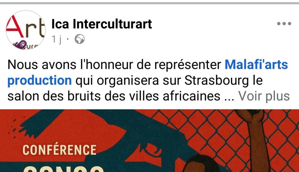 Marché Congolais à Strasbourg/Salon des Bruits des Villes Africaines 