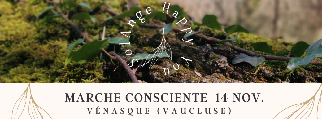 Marche consciente 14 novembre