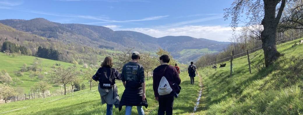 Marche du Temps Profond Alsace - Maisonsgoutte - 2026