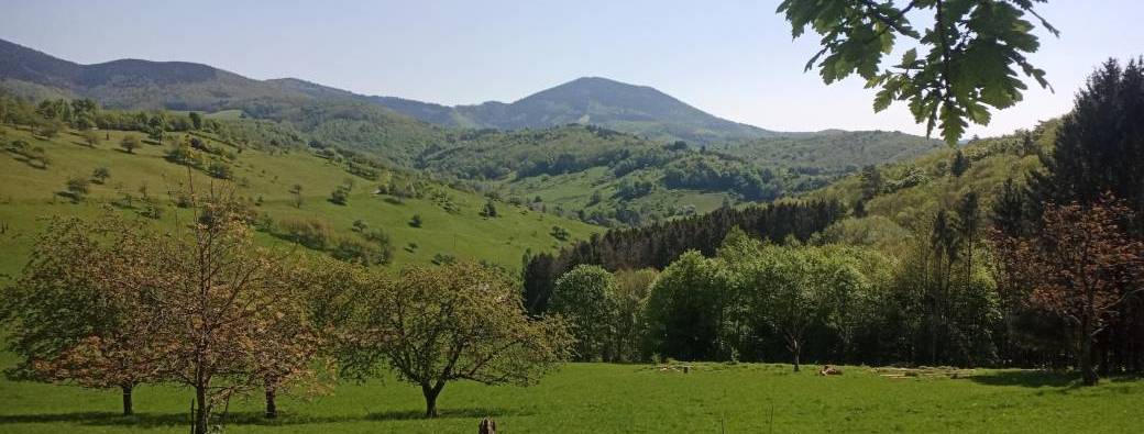 Marche du Temps Profond - Alsace - Maisonsgoutte