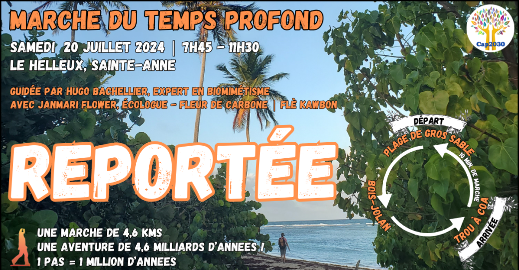 20 juillet 2024 | Plage de Gros Sable - Le Helleux, Sainte-Anne