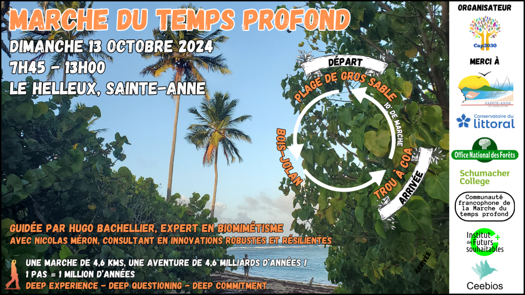 13 octobre 2024 | Plage de Gros Sable - Le Helleux, Sainte-Anne