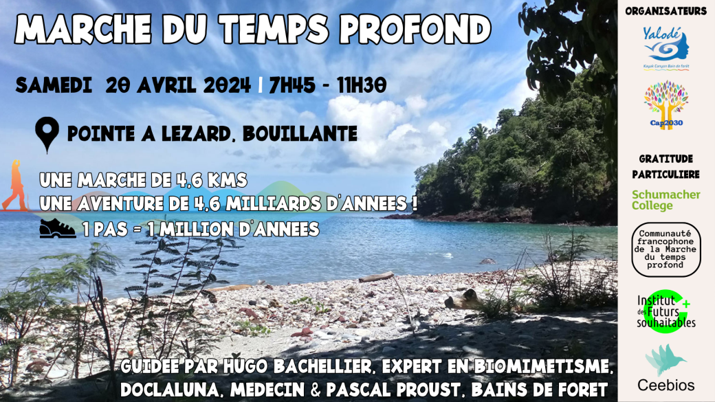 Marche du temps profond en Guadeloupe | 20 avril 2024 | La Pointe à Lézard, Bouillante