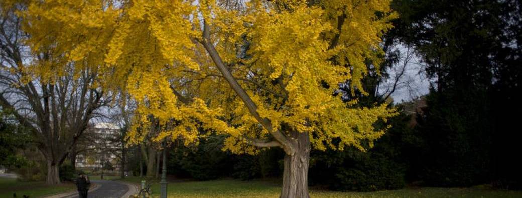 Marche du temps profond - Paiement en conscience