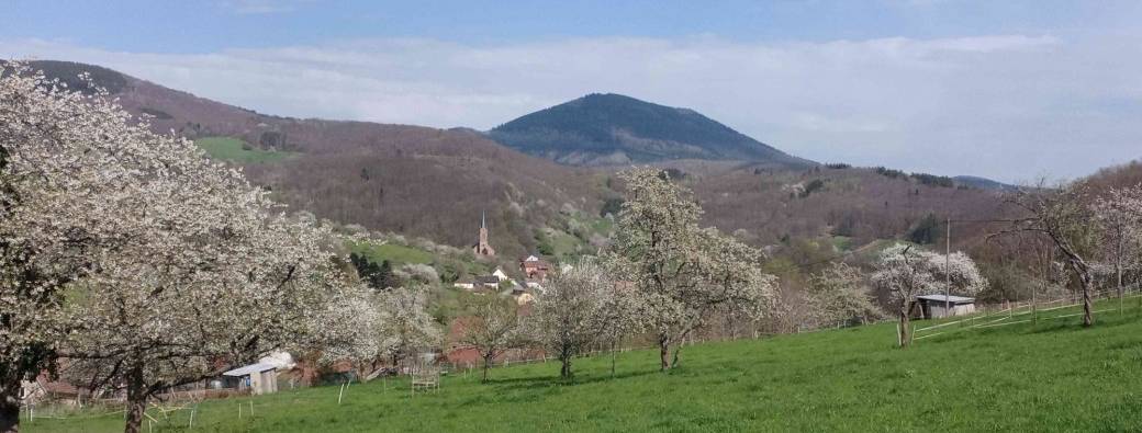 Marche du Temps Profond - Alsace - Maisonsgoutte