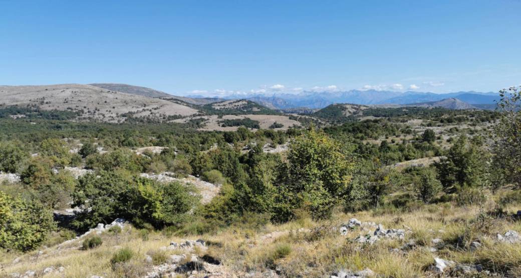 Marche et méditation au Puy de Tourettes - Clubrando06 (Alix) Marche et méditation au Puy de Tourettes - Clubrando06 (Alix)