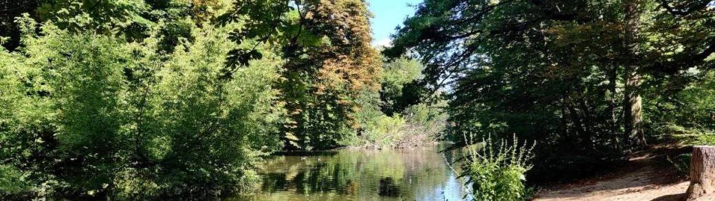 Marche et Méditation Lac au bois de Vincennes