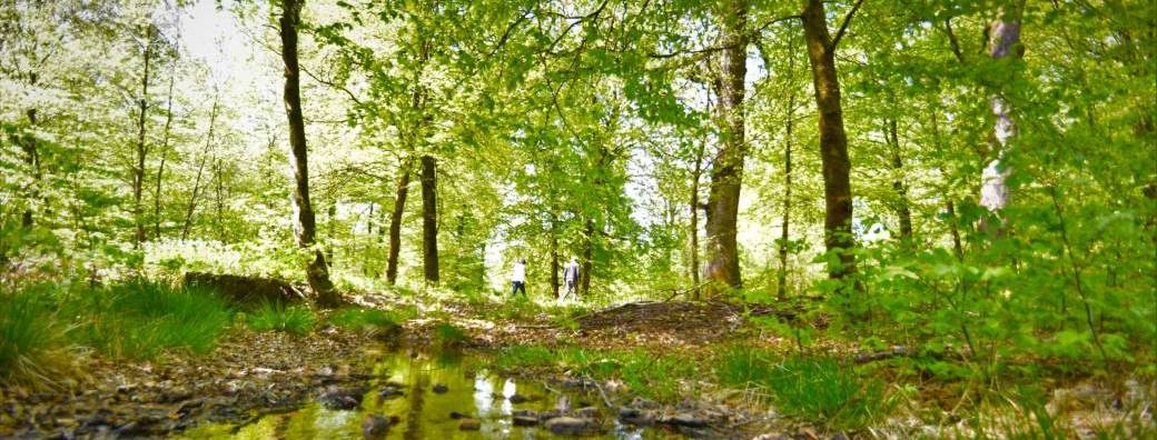 Marche Gourmande 2026 à La Cassine (08)