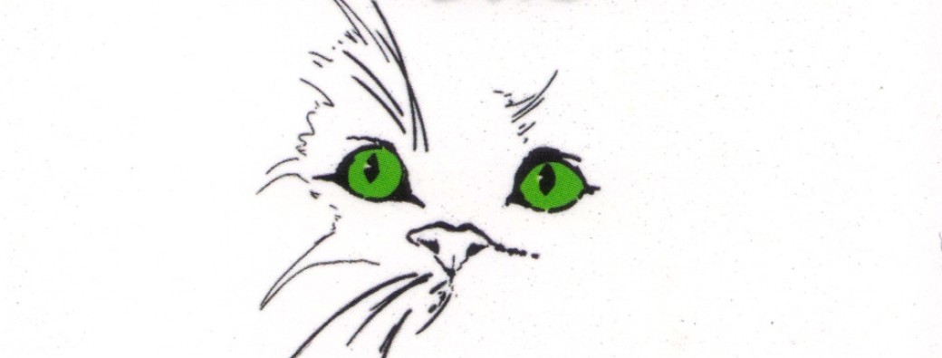 Marche Gourmande Solidaire – “Pas après Pats pour FELIS”