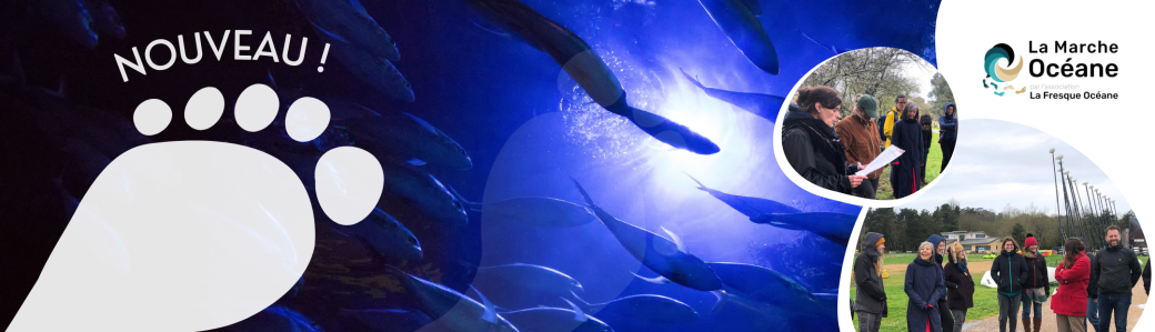 Marche Océane 1h15 le 29/05/2026 à St Médard en Jalles animée par Géraldine GDadrian