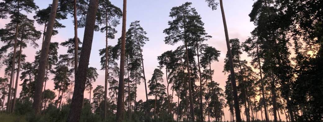 Marches au coucher du soleil