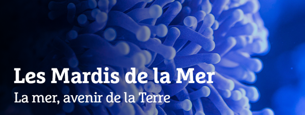 Les Mardis de la Mer 2026-2027
