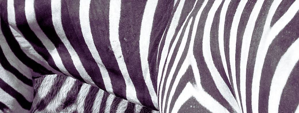 Mardi du Savoir - Victor Vasarely - 