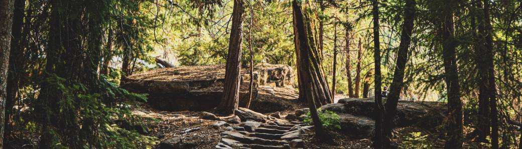A la recherche du Masculin Sensible - Une journée en forêt