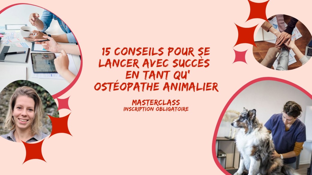 Masterclass 15 conseils pour se lancer avec succès en tant qu'ostéopathe animalier