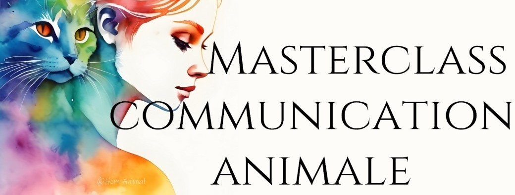 Masterclass Communication animale - Cycle "Premiers pas"
