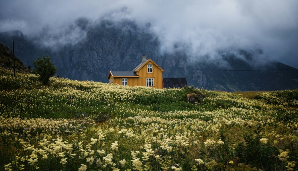 Masterclass Géobiologie de l'habitat