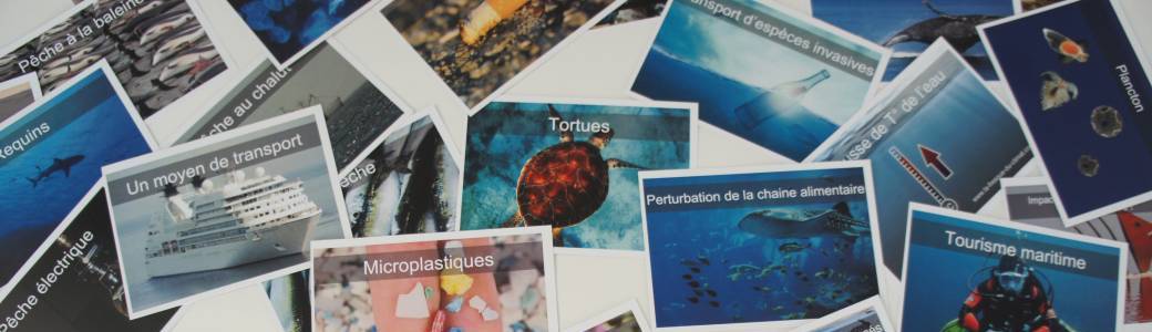 Masterclass Ocean Collage online 17/03/2026 with Lionel Raybaud