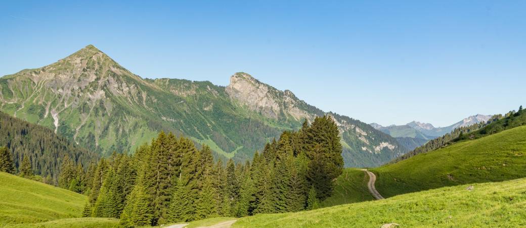 Mastermind Immo, Business et Parapente