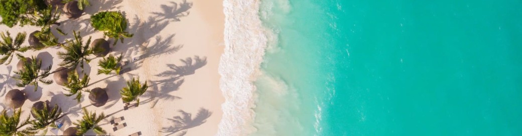 Mastermind IMMO CDR19 Zanzibar