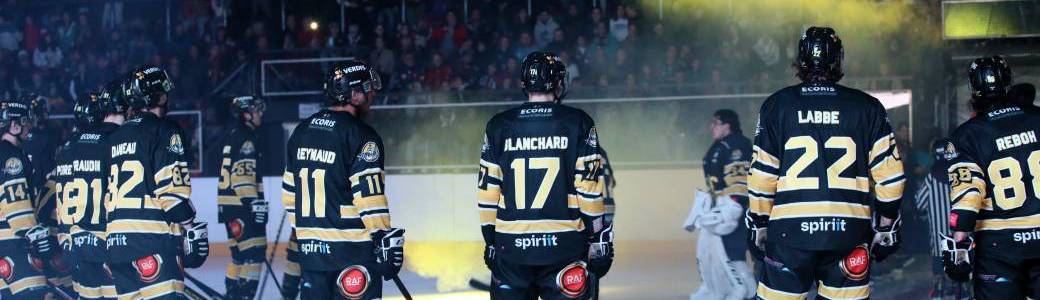 MATCH FFHG 1 D1 J10 - Chambéry Hockey vs Cholet