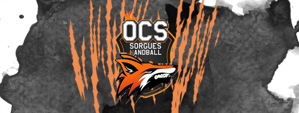 Match Séniors Garçons Dep 1 / L'Isle 20h30