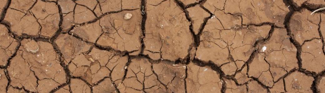 Matinée climatique