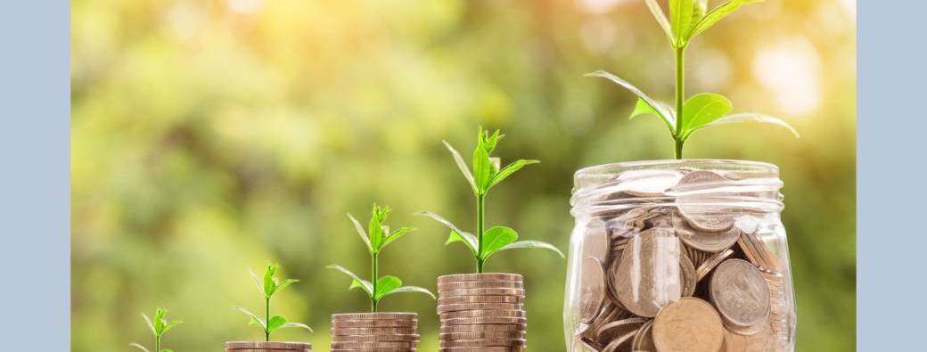 Comment créer ou entretenir son patrimoine ?