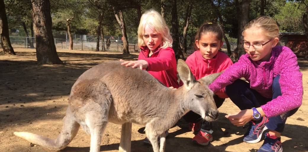 Matinée Petit Soigneur au PARC AUSTRALIEN