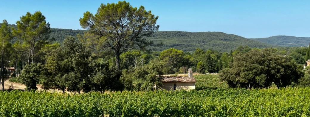 Morning Hiking, Yoga & Wine at Domaine Saint Jean de Villecroze