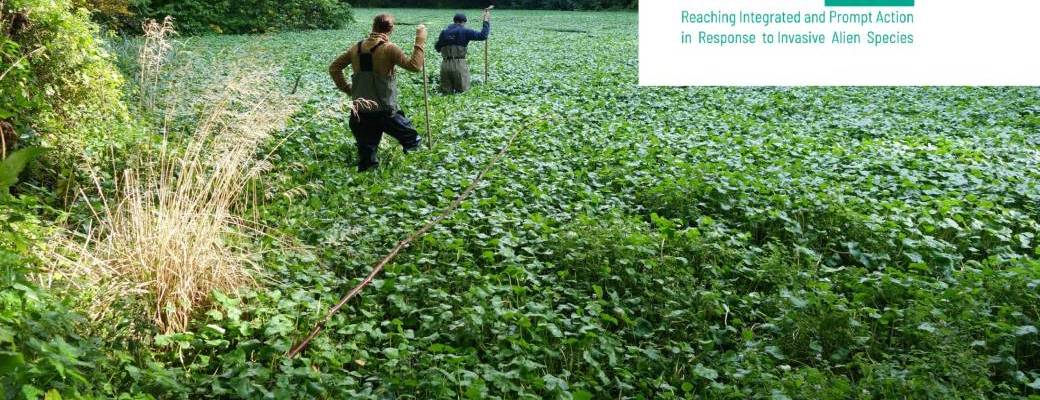 Matinée sur la gestion des plantes aquatiques exotiques envahissantes - Gembloux