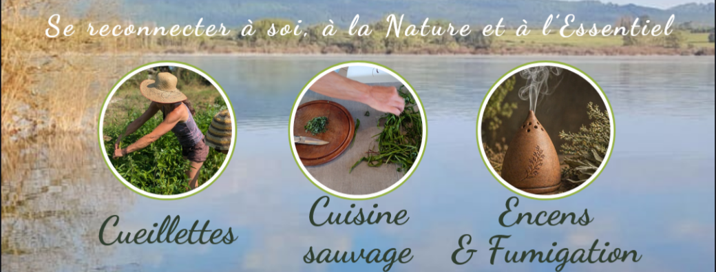 Médicinales, Comestibles, plantes à Encens : Stage immersif
